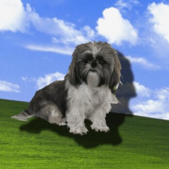 Other Projects - OVI London